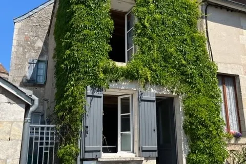 La Petite Vigne - Image 1