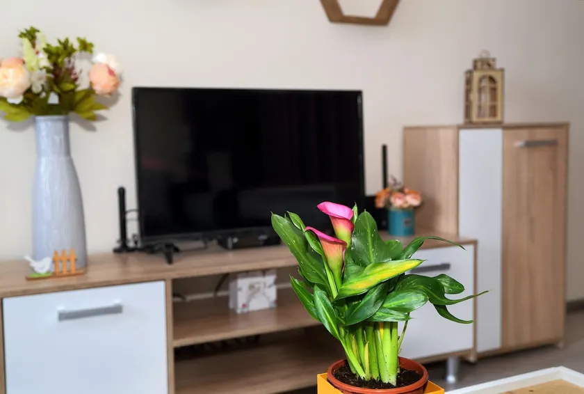 Colibri Castle View – Romantic Escape - Image 1