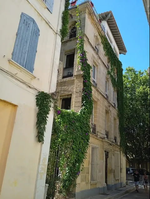 Apartment at the foot of the Arenas - Image 1