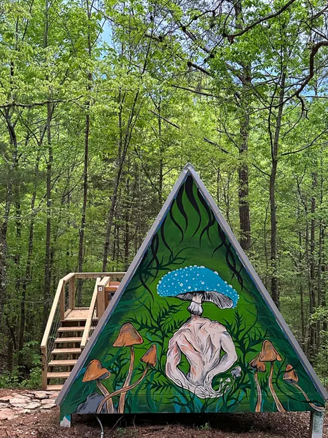 G-4 Glamp in Bohamia - 268 acre forest retreat - Image 1