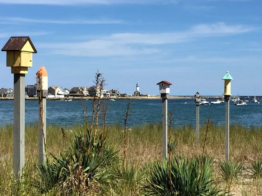 Scituate Harbor Escape! - Image 1
