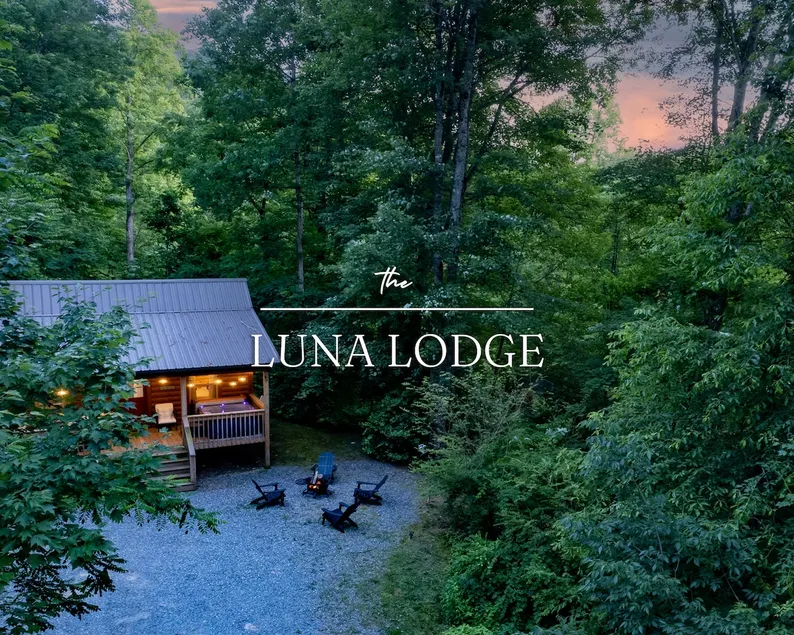 The Modern Mini Cabin w Hot Tub, Firepit & WiFi - Image 1