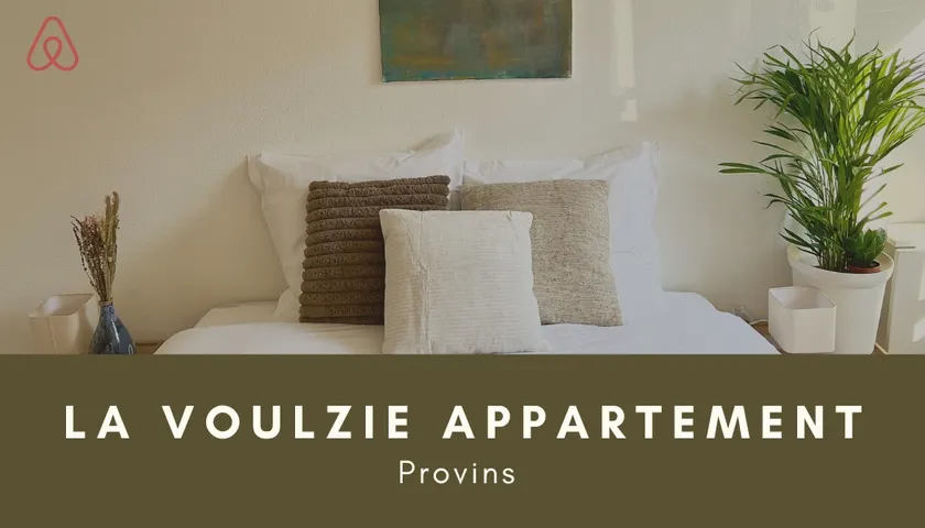 La Voulzie Apartment, Private Parking and Terrace - Image 1