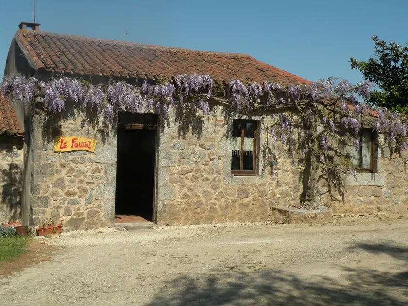 Rooms & Farm stays - Image 1