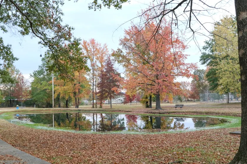 Quiet, 4-bed home with park view. - Image 1