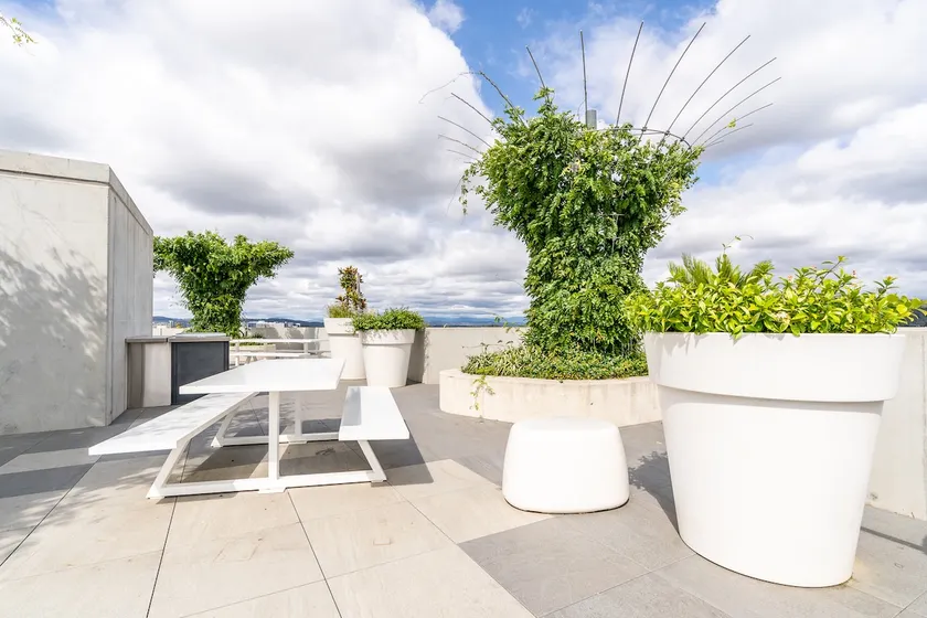 Beautiful Art Apartment near Tram and Shops! - Hosted by CanStay - Image 1