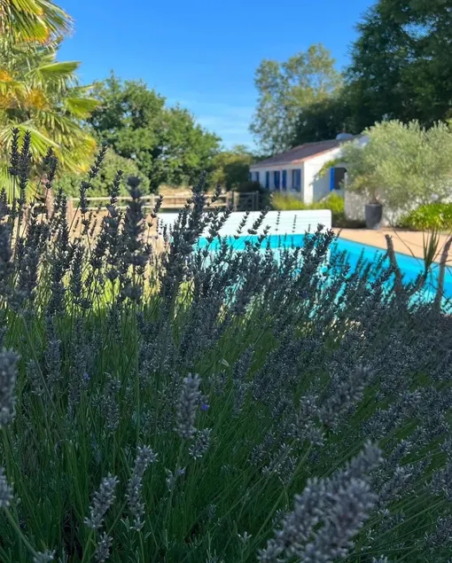   Gaia - Jacuzzi - heated pool, bicycles. - Image 1