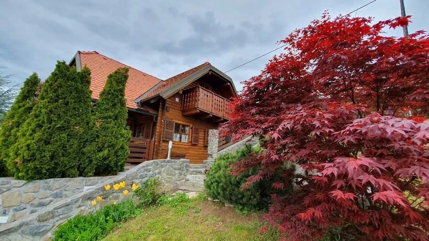 Vineyard Views, Sunset Terrace, A/C | Hiška Meta - Image 1