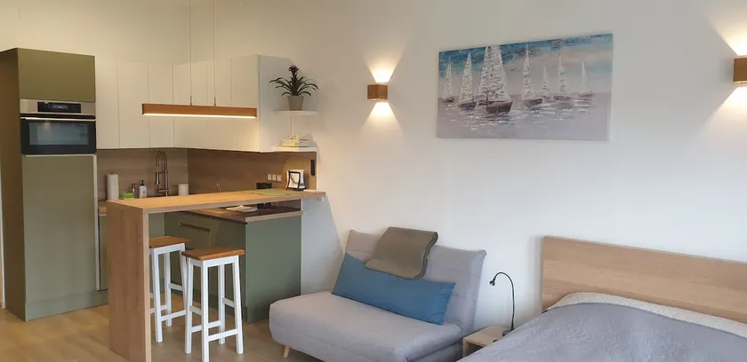 ALLEE APARTMENT (newly renovated spring 2023) - Image 1