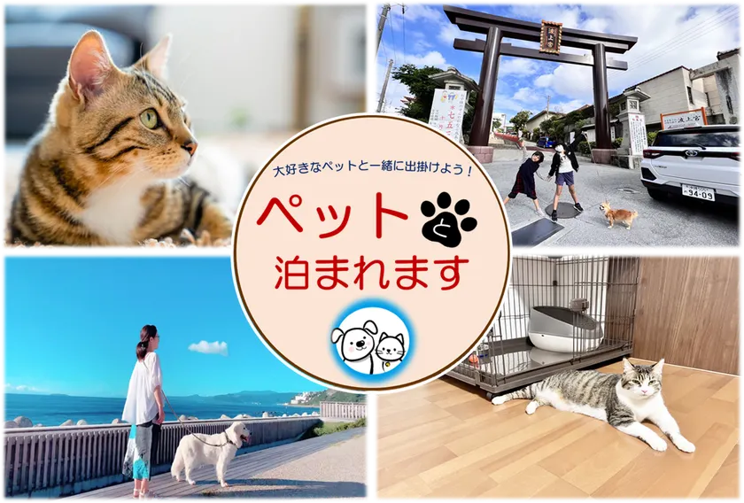 Pet-friendly room [2 double beds, maximum 4 people + pet] Large dogs and cats allowed - Image 1