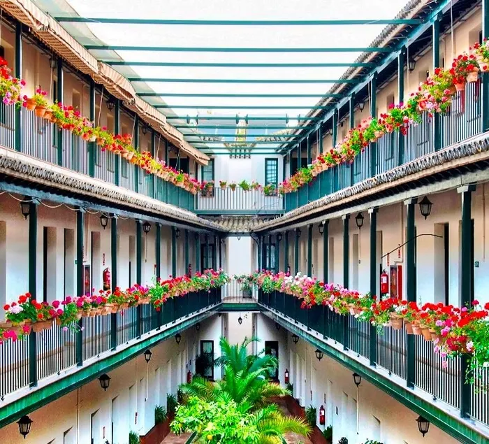 Cosy flat in a typical Sevillian courtyard - Image 1