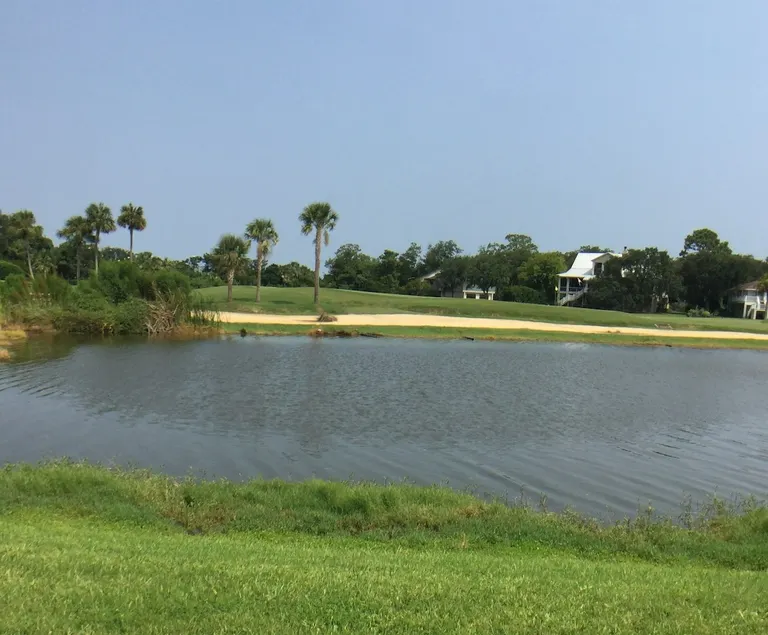 \"Saintly\" at Sea Palms 18th Green - Image 1