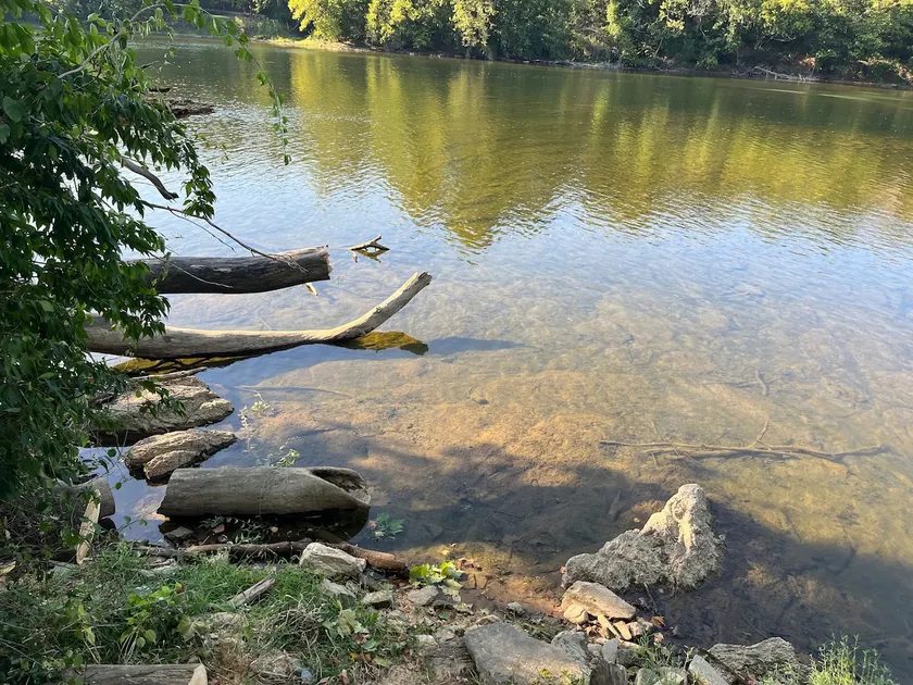 Riverfront Home• Shenandoah River•Fishing•Canoe - Image 1