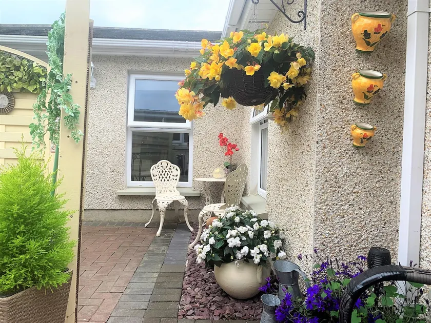 Naas Back Garden Escape - Image 1
