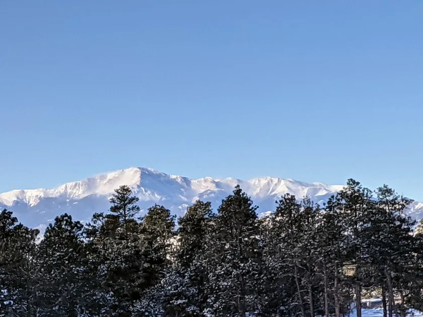 Woodland Pines - Image 1
