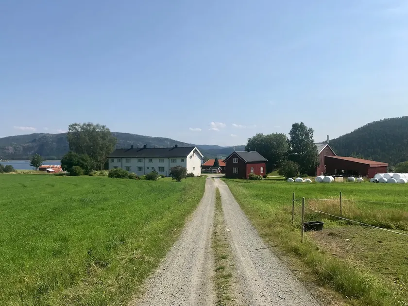 Masstu on a farm in Namsos - Image 1