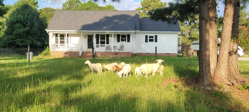 Rustic Farm House in Holly Springs, NC - Image 1