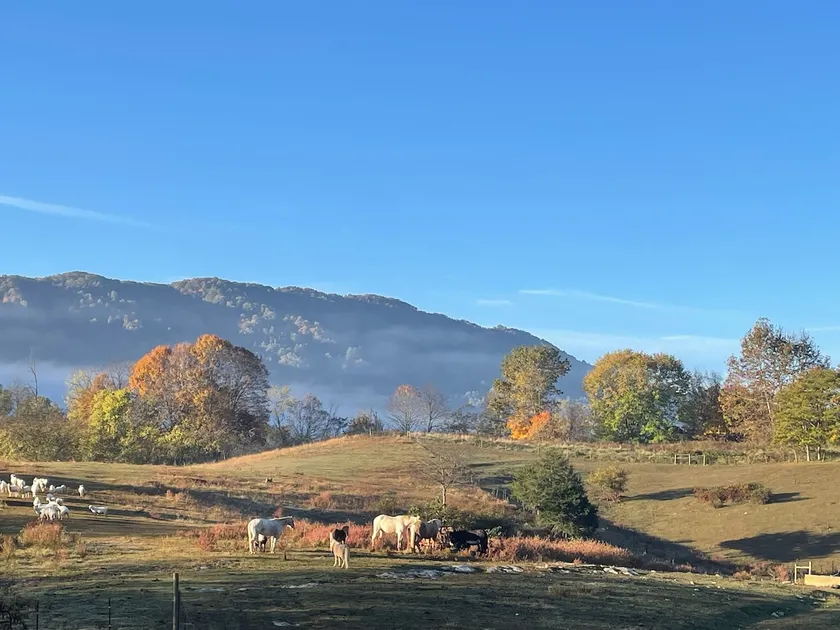 Farm house with animals 10 minutes from Big Stone - Image 1