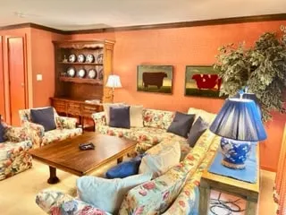 2bd/2bth Retro Condo Near Toll Lift - Image 1