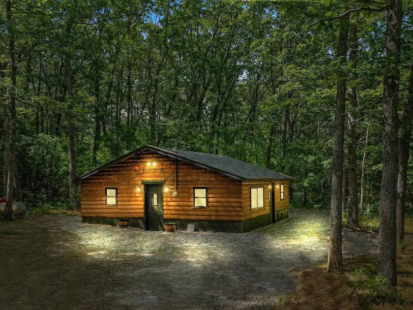 Sand Lake Cabin- Pets, BBQ, Firepit, Starlink WiFi - Image 1
