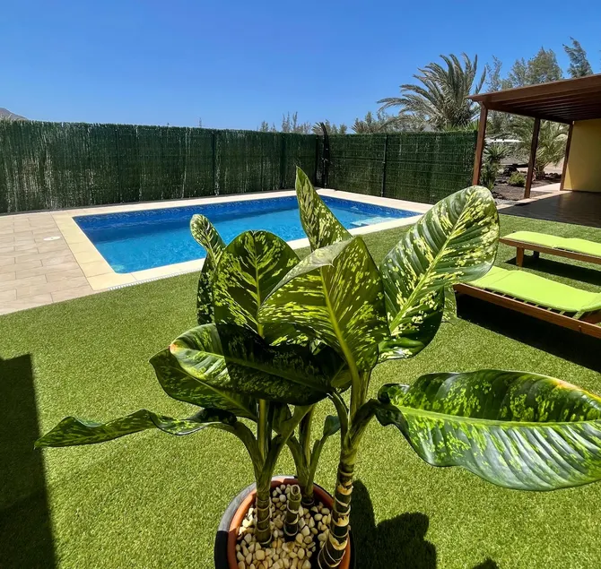 Rosa de los james - Image 1