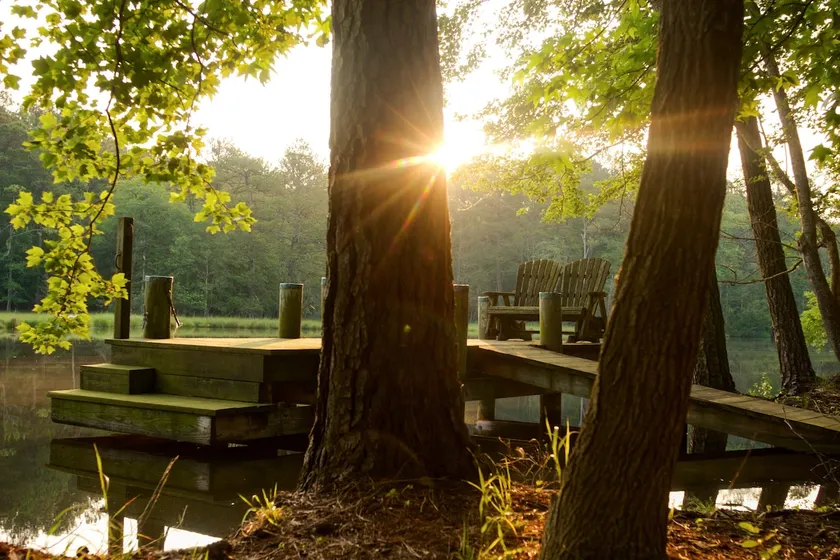 Secluded Waterfront · Kayaks, Firepit, Beach 15mi - Image 1