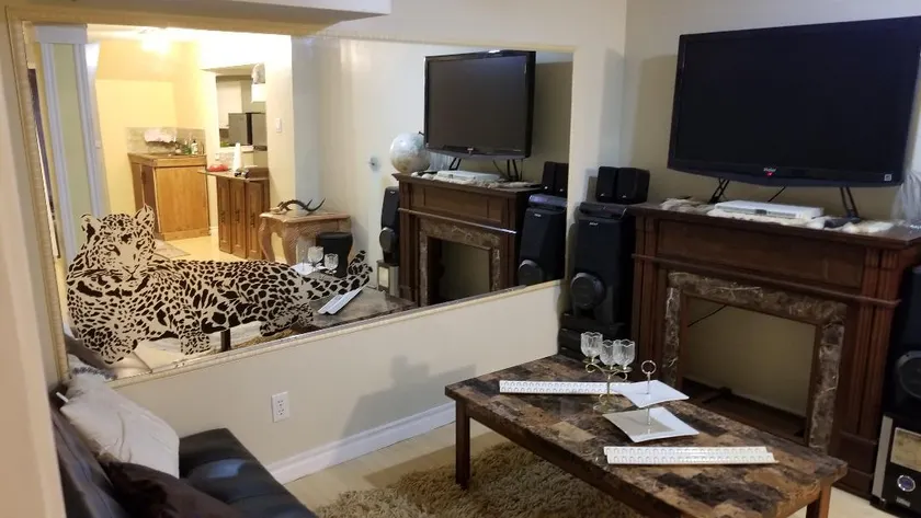 This is a clean,Quite Basement in Markham. - Image 1