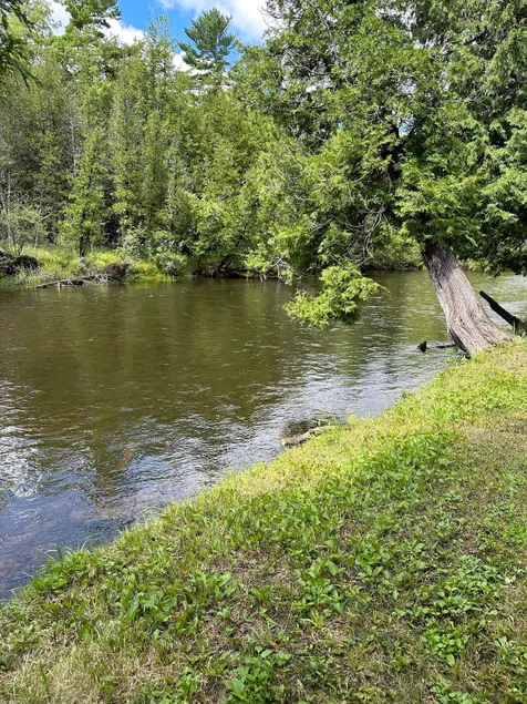 Authentic River front Log Cabin - Image 1