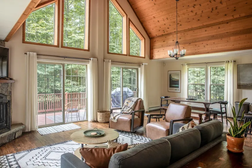 Modern, Sauna, Near Whiteface/Lake Placid, Dogs - Image 1