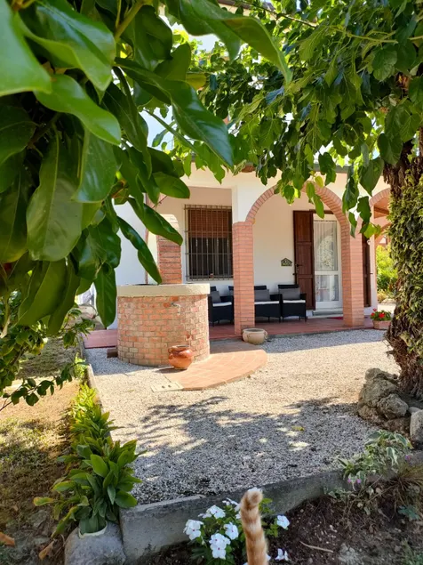 Sophie's Garden - Image 1