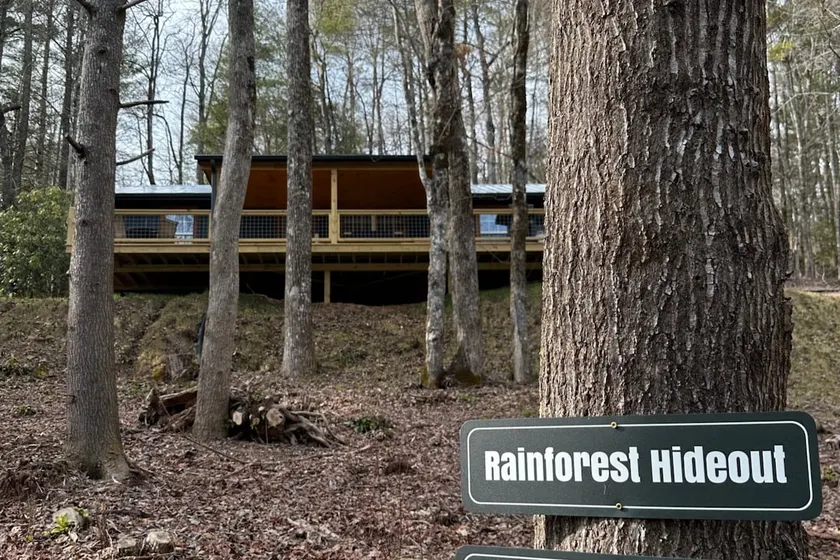 Rainforest Hideout - Image 1