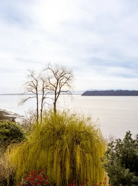 Amazing Sound View - GuestHouse (2 Bedrooms) - Image 1