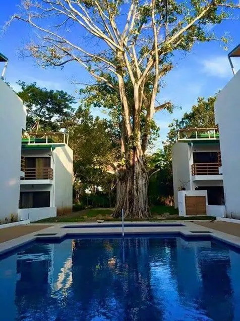 ideal for resting, just 300 meters from the beach - Image 1
