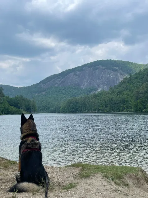 Hiker's Heaven & Sapphire Valley Resort Amenities - Image 1