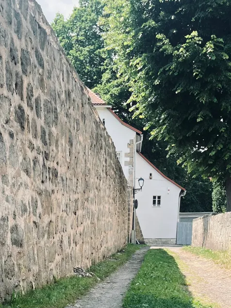 House in the walls - Image 1