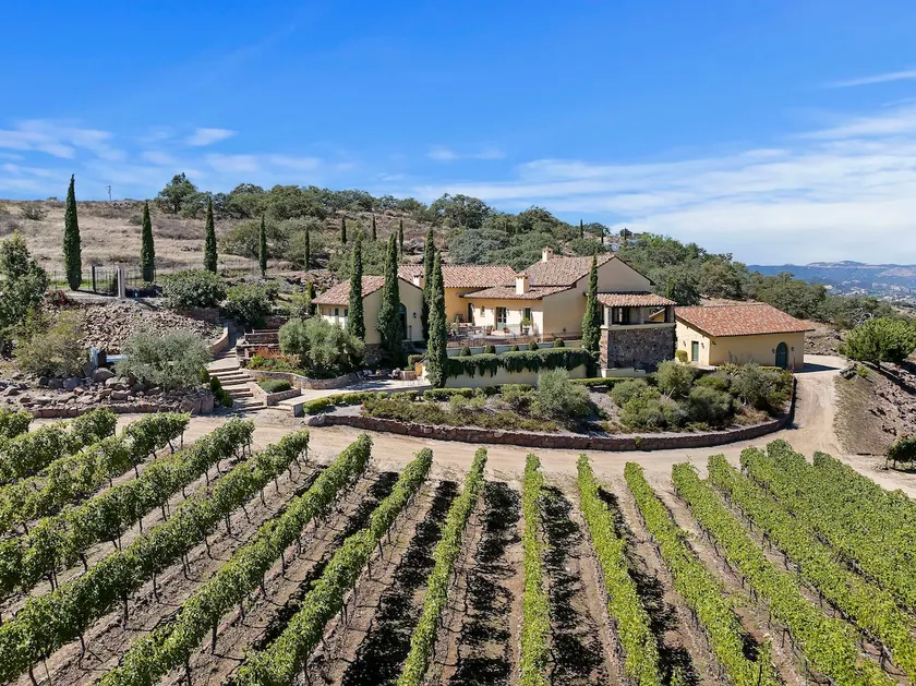 Italian Villa w/Vineyard Views*DOG*FRIENDLY - Image 1