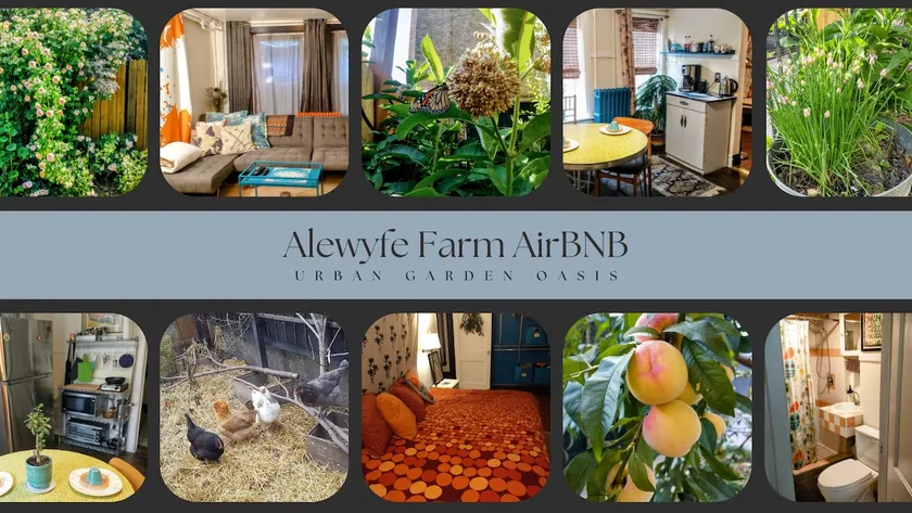 Alewyfe Farm Urban Garden Oasis- free parking! - Image 1