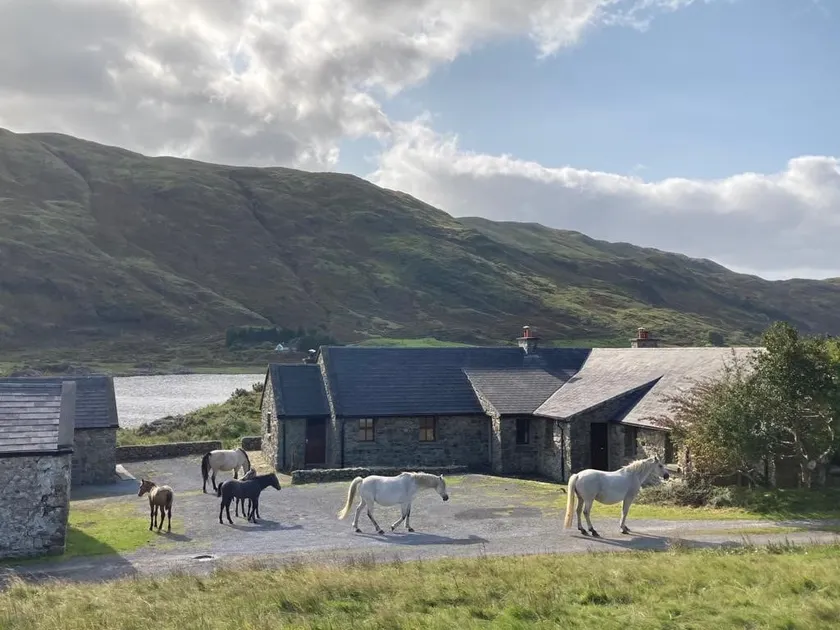 Joyce's Cottage - Image 1