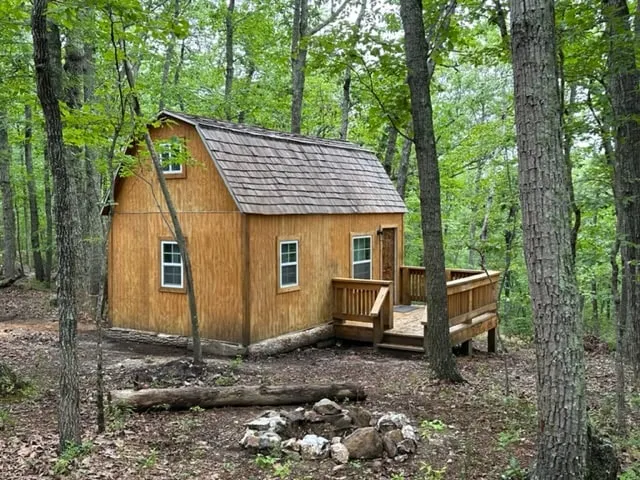 Tiny cabin in the woods - Image 1