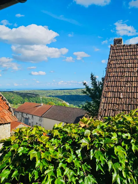 Charming house with a stunning vue on the vignards - Image 1