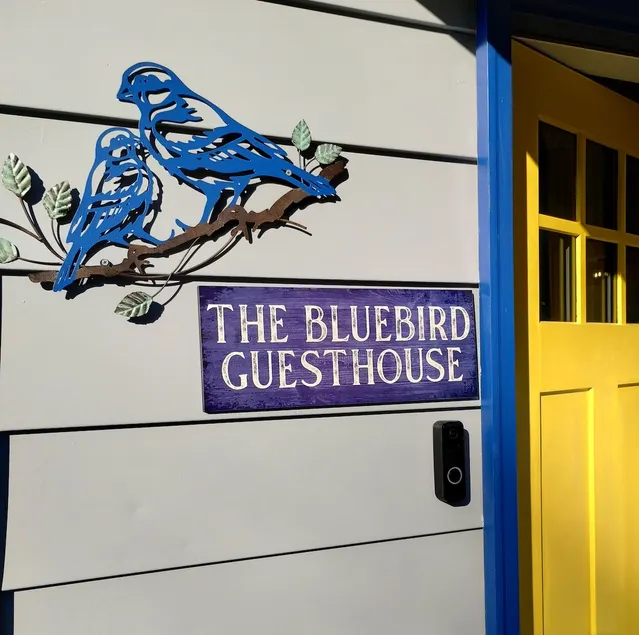 The Bluebird Guesthouse *walk to downtown* - Image 1