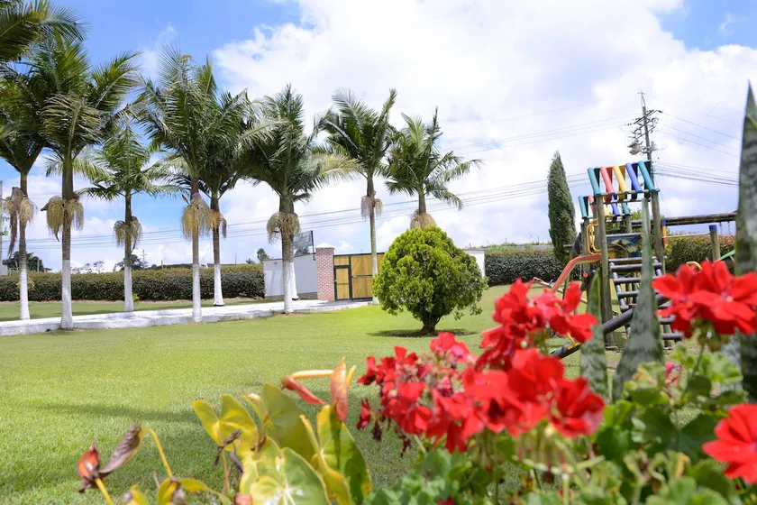 Paradise on earth - Image 1