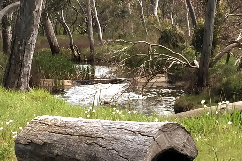 Cygnet River Studio - Image 1