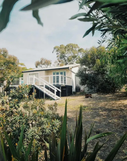 Wattle Bird Shack - Image 1