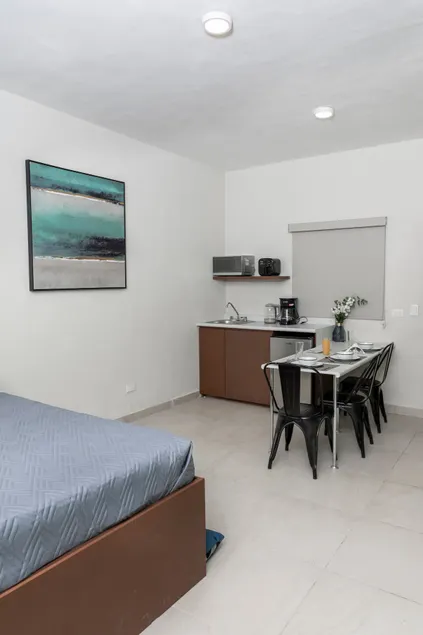 P1 / Centro Monterrey / Accessible / Spacious Loft - Image 1