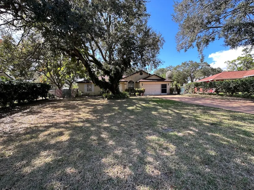 Unrefined Florida living - Image 1