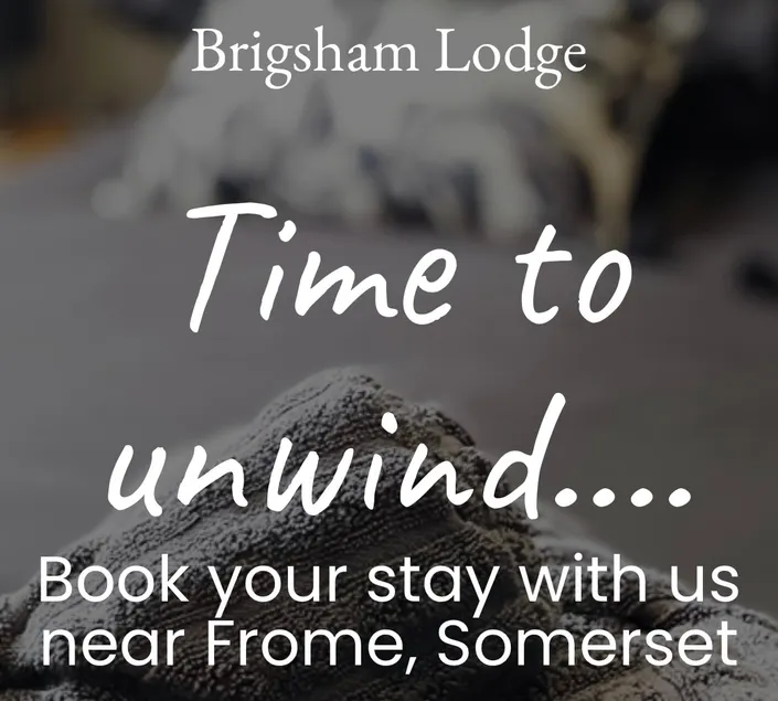 Brigsham Lodge - The Annexe - Image 1