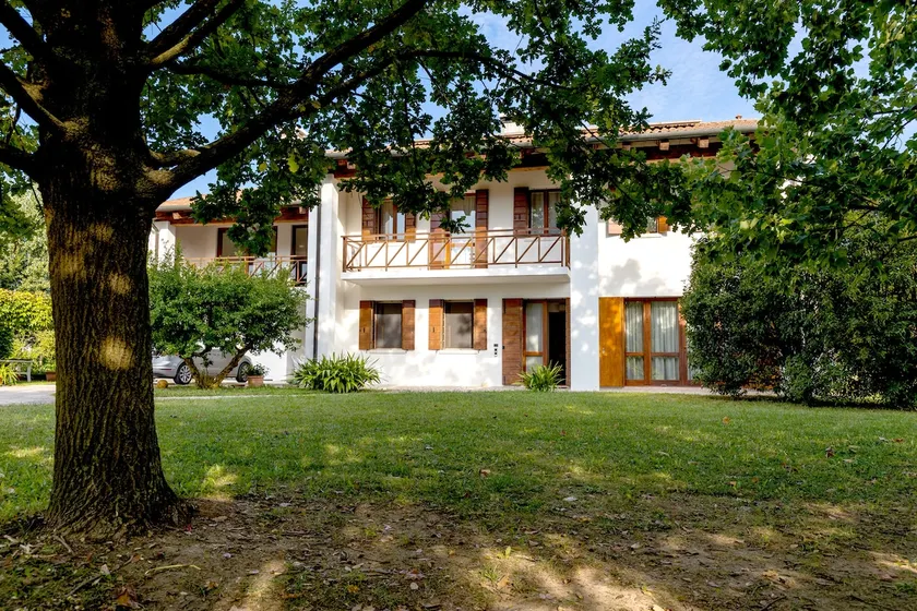 Fiori di campo - Treviso - Image 1
