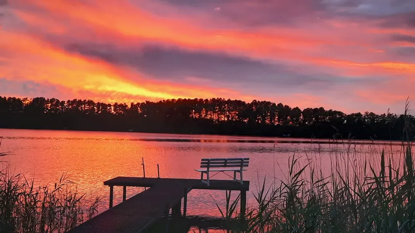 Bungalow by the lake, private jetty, near Berlin - Image 1