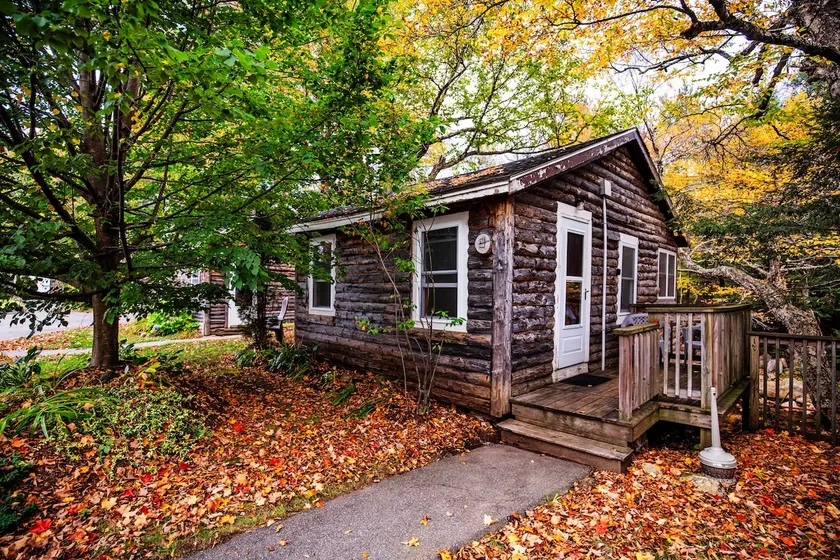 The Fox Hollow Retreat: Nature Escape | PemiCabins - Image 1